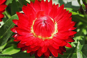 À̹ÌÁö¸¦ Ŭ¸¯ÇÏ½Ã¸é ¿øº»»çÀÌÁî·Î º¸½Ç ¼ö ÀÖ½À´Ï´Ù.