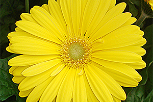 À̹ÌÁö¸¦ Ŭ¸¯ÇÏ½Ã¸é ¿øº»»çÀÌÁî·Î º¸½Ç ¼ö ÀÖ½À´Ï´Ù.
