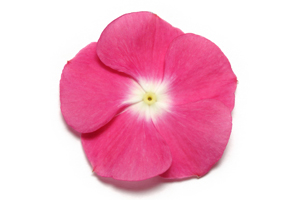 À̹ÌÁö¸¦ Ŭ¸¯ÇÏ½Ã¸é ¿øº»»çÀÌÁî·Î º¸½Ç ¼ö ÀÖ½À´Ï´Ù.