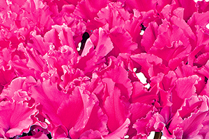 À̹ÌÁö¸¦ Ŭ¸¯ÇÏ½Ã¸é ¿øº»»çÀÌÁî·Î º¸½Ç ¼ö ÀÖ½À´Ï´Ù.
