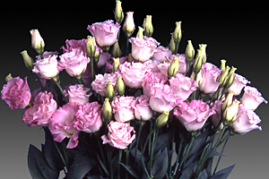 À̹ÌÁö¸¦ Ŭ¸¯ÇÏ½Ã¸é ¿øº»»çÀÌÁî·Î º¸½Ç ¼ö ÀÖ½À´Ï´Ù.