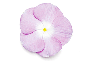 À̹ÌÁö¸¦ Ŭ¸¯ÇÏ½Ã¸é ¿øº»»çÀÌÁî·Î º¸½Ç ¼ö ÀÖ½À´Ï´Ù.