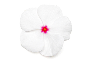 À̹ÌÁö¸¦ Ŭ¸¯ÇÏ½Ã¸é ¿øº»»çÀÌÁî·Î º¸½Ç ¼ö ÀÖ½À´Ï´Ù.