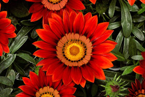 À̹ÌÁö¸¦ Ŭ¸¯ÇÏ½Ã¸é ¿øº»»çÀÌÁî·Î º¸½Ç ¼ö ÀÖ½À´Ï´Ù.