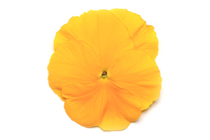 À̹ÌÁö¸¦ Ŭ¸¯ÇÏ½Ã¸é ¿øº»»çÀÌÁî·Î º¸½Ç ¼ö ÀÖ½À´Ï´Ù.