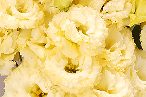 À̹ÌÁö¸¦ Ŭ¸¯ÇÏ½Ã¸é ¿øº»»çÀÌÁî·Î º¸½Ç ¼ö ÀÖ½À´Ï´Ù.