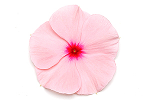 À̹ÌÁö¸¦ Ŭ¸¯ÇÏ½Ã¸é ¿øº»»çÀÌÁî·Î º¸½Ç ¼ö ÀÖ½À´Ï´Ù.