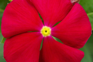 À̹ÌÁö¸¦ Ŭ¸¯ÇÏ½Ã¸é ¿øº»»çÀÌÁî·Î º¸½Ç ¼ö ÀÖ½À´Ï´Ù.