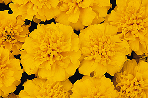 À̹ÌÁö¸¦ Ŭ¸¯ÇÏ½Ã¸é ¿øº»»çÀÌÁî·Î º¸½Ç ¼ö ÀÖ½À´Ï´Ù.