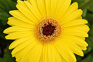 À̹ÌÁö¸¦ Ŭ¸¯ÇÏ½Ã¸é ¿øº»»çÀÌÁî·Î º¸½Ç ¼ö ÀÖ½À´Ï´Ù.