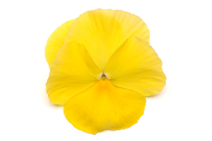 À̹ÌÁö¸¦ Ŭ¸¯ÇÏ½Ã¸é ¿øº»»çÀÌÁî·Î º¸½Ç ¼ö ÀÖ½À´Ï´Ù.