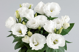 À̹ÌÁö¸¦ Ŭ¸¯ÇÏ½Ã¸é ¿øº»»çÀÌÁî·Î º¸½Ç ¼ö ÀÖ½À´Ï´Ù.