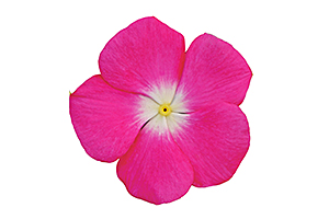 À̹ÌÁö¸¦ Ŭ¸¯ÇÏ½Ã¸é ¿øº»»çÀÌÁî·Î º¸½Ç ¼ö ÀÖ½À´Ï´Ù.