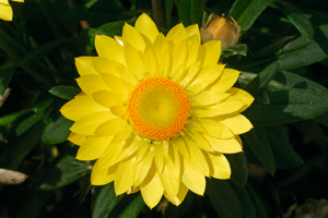 À̹ÌÁö¸¦ Ŭ¸¯ÇÏ½Ã¸é ¿øº»»çÀÌÁî·Î º¸½Ç ¼ö ÀÖ½À´Ï´Ù.