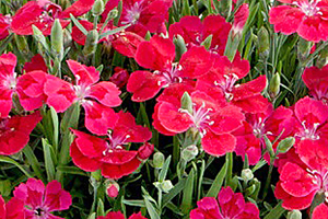 À̹ÌÁö¸¦ Ŭ¸¯ÇÏ½Ã¸é ¿øº»»çÀÌÁî·Î º¸½Ç ¼ö ÀÖ½À´Ï´Ù.