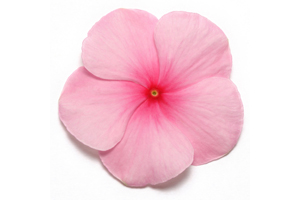À̹ÌÁö¸¦ Ŭ¸¯ÇÏ½Ã¸é ¿øº»»çÀÌÁî·Î º¸½Ç ¼ö ÀÖ½À´Ï´Ù.