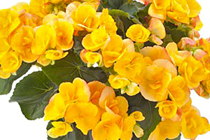 À̹ÌÁö¸¦ Ŭ¸¯ÇÏ½Ã¸é ¿øº»»çÀÌÁî·Î º¸½Ç ¼ö ÀÖ½À´Ï´Ù.