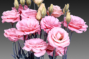 À̹ÌÁö¸¦ Ŭ¸¯ÇÏ½Ã¸é ¿øº»»çÀÌÁî·Î º¸½Ç ¼ö ÀÖ½À´Ï´Ù.