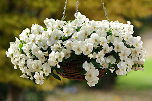 À̹ÌÁö¸¦ Ŭ¸¯ÇÏ½Ã¸é ¿øº»»çÀÌÁî·Î º¸½Ç ¼ö ÀÖ½À´Ï´Ù.