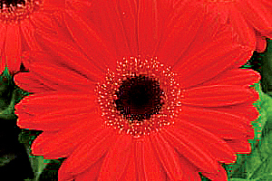 À̹ÌÁö¸¦ Ŭ¸¯ÇÏ½Ã¸é ¿øº»»çÀÌÁî·Î º¸½Ç ¼ö ÀÖ½À´Ï´Ù.