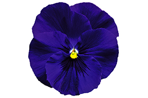À̹ÌÁö¸¦ Ŭ¸¯ÇÏ½Ã¸é ¿øº»»çÀÌÁî·Î º¸½Ç ¼ö ÀÖ½À´Ï´Ù.