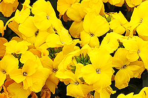 À̹ÌÁö¸¦ Ŭ¸¯ÇÏ½Ã¸é ¿øº»»çÀÌÁî·Î º¸½Ç ¼ö ÀÖ½À´Ï´Ù.