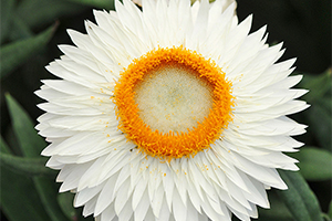 À̹ÌÁö¸¦ Ŭ¸¯ÇÏ½Ã¸é ¿øº»»çÀÌÁî·Î º¸½Ç ¼ö ÀÖ½À´Ï´Ù.