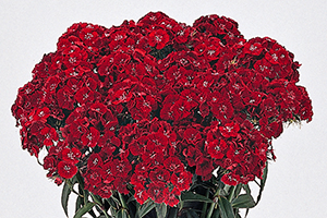 À̹ÌÁö¸¦ Ŭ¸¯ÇÏ½Ã¸é ¿øº»»çÀÌÁî·Î º¸½Ç ¼ö ÀÖ½À´Ï´Ù.