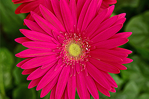 À̹ÌÁö¸¦ Ŭ¸¯ÇÏ½Ã¸é ¿øº»»çÀÌÁî·Î º¸½Ç ¼ö ÀÖ½À´Ï´Ù.
