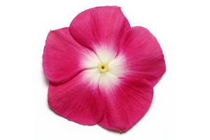 À̹ÌÁö¸¦ Ŭ¸¯ÇÏ½Ã¸é ¿øº»»çÀÌÁî·Î º¸½Ç ¼ö ÀÖ½À´Ï´Ù.