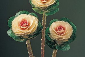 À̹ÌÁö¸¦ Ŭ¸¯ÇÏ½Ã¸é ¿øº»»çÀÌÁî·Î º¸½Ç ¼ö ÀÖ½À´Ï´Ù.