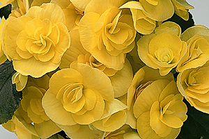 À̹ÌÁö¸¦ Ŭ¸¯ÇÏ½Ã¸é ¿øº»»çÀÌÁî·Î º¸½Ç ¼ö ÀÖ½À´Ï´Ù.