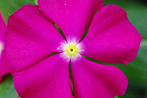 À̹ÌÁö¸¦ Ŭ¸¯ÇÏ½Ã¸é ¿øº»»çÀÌÁî·Î º¸½Ç ¼ö ÀÖ½À´Ï´Ù.