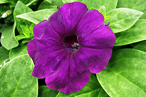 À̹ÌÁö¸¦ Ŭ¸¯ÇÏ½Ã¸é ¿øº»»çÀÌÁî·Î º¸½Ç ¼ö ÀÖ½À´Ï´Ù.