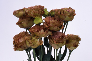 À̹ÌÁö¸¦ Ŭ¸¯ÇÏ½Ã¸é ¿øº»»çÀÌÁî·Î º¸½Ç ¼ö ÀÖ½À´Ï´Ù.