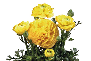 À̹ÌÁö¸¦ Ŭ¸¯ÇÏ½Ã¸é ¿øº»»çÀÌÁî·Î º¸½Ç ¼ö ÀÖ½À´Ï´Ù.