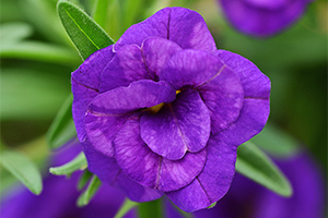 À̹ÌÁö¸¦ Ŭ¸¯ÇÏ½Ã¸é ¿øº»»çÀÌÁî·Î º¸½Ç ¼ö ÀÖ½À´Ï´Ù.