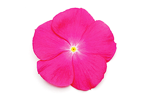 À̹ÌÁö¸¦ Ŭ¸¯ÇÏ½Ã¸é ¿øº»»çÀÌÁî·Î º¸½Ç ¼ö ÀÖ½À´Ï´Ù.