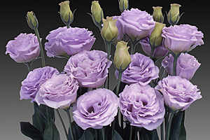 À̹ÌÁö¸¦ Ŭ¸¯ÇÏ½Ã¸é ¿øº»»çÀÌÁî·Î º¸½Ç ¼ö ÀÖ½À´Ï´Ù.