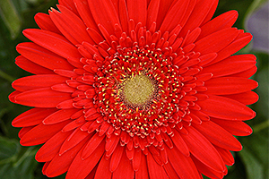 À̹ÌÁö¸¦ Ŭ¸¯ÇÏ½Ã¸é ¿øº»»çÀÌÁî·Î º¸½Ç ¼ö ÀÖ½À´Ï´Ù.