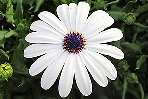 À̹ÌÁö¸¦ Ŭ¸¯ÇÏ½Ã¸é ¿øº»»çÀÌÁî·Î º¸½Ç ¼ö ÀÖ½À´Ï´Ù.