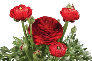 À̹ÌÁö¸¦ Ŭ¸¯ÇÏ½Ã¸é ¿øº»»çÀÌÁî·Î º¸½Ç ¼ö ÀÖ½À´Ï´Ù.