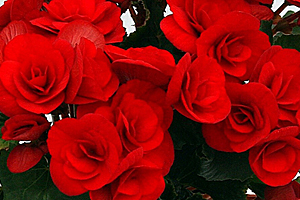 À̹ÌÁö¸¦ Ŭ¸¯ÇÏ½Ã¸é ¿øº»»çÀÌÁî·Î º¸½Ç ¼ö ÀÖ½À´Ï´Ù.