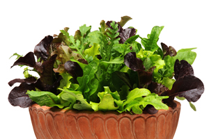À̹ÌÁö¸¦ Ŭ¸¯ÇÏ½Ã¸é ¿øº»»çÀÌÁî·Î º¸½Ç ¼ö ÀÖ½À´Ï´Ù.
