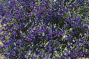 À̹ÌÁö¸¦ Ŭ¸¯ÇÏ½Ã¸é ¿øº»»çÀÌÁî·Î º¸½Ç ¼ö ÀÖ½À´Ï´Ù.