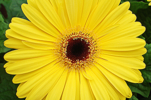 À̹ÌÁö¸¦ Ŭ¸¯ÇÏ½Ã¸é ¿øº»»çÀÌÁî·Î º¸½Ç ¼ö ÀÖ½À´Ï´Ù.
