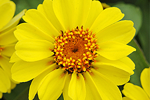 À̹ÌÁö¸¦ Ŭ¸¯ÇÏ½Ã¸é ¿øº»»çÀÌÁî·Î º¸½Ç ¼ö ÀÖ½À´Ï´Ù.