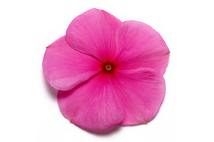 À̹ÌÁö¸¦ Ŭ¸¯ÇÏ½Ã¸é ¿øº»»çÀÌÁî·Î º¸½Ç ¼ö ÀÖ½À´Ï´Ù.