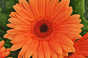 À̹ÌÁö¸¦ Ŭ¸¯ÇÏ½Ã¸é ¿øº»»çÀÌÁî·Î º¸½Ç ¼ö ÀÖ½À´Ï´Ù.