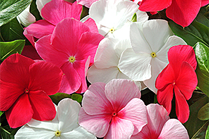 À̹ÌÁö¸¦ Ŭ¸¯ÇÏ½Ã¸é ¿øº»»çÀÌÁî·Î º¸½Ç ¼ö ÀÖ½À´Ï´Ù.